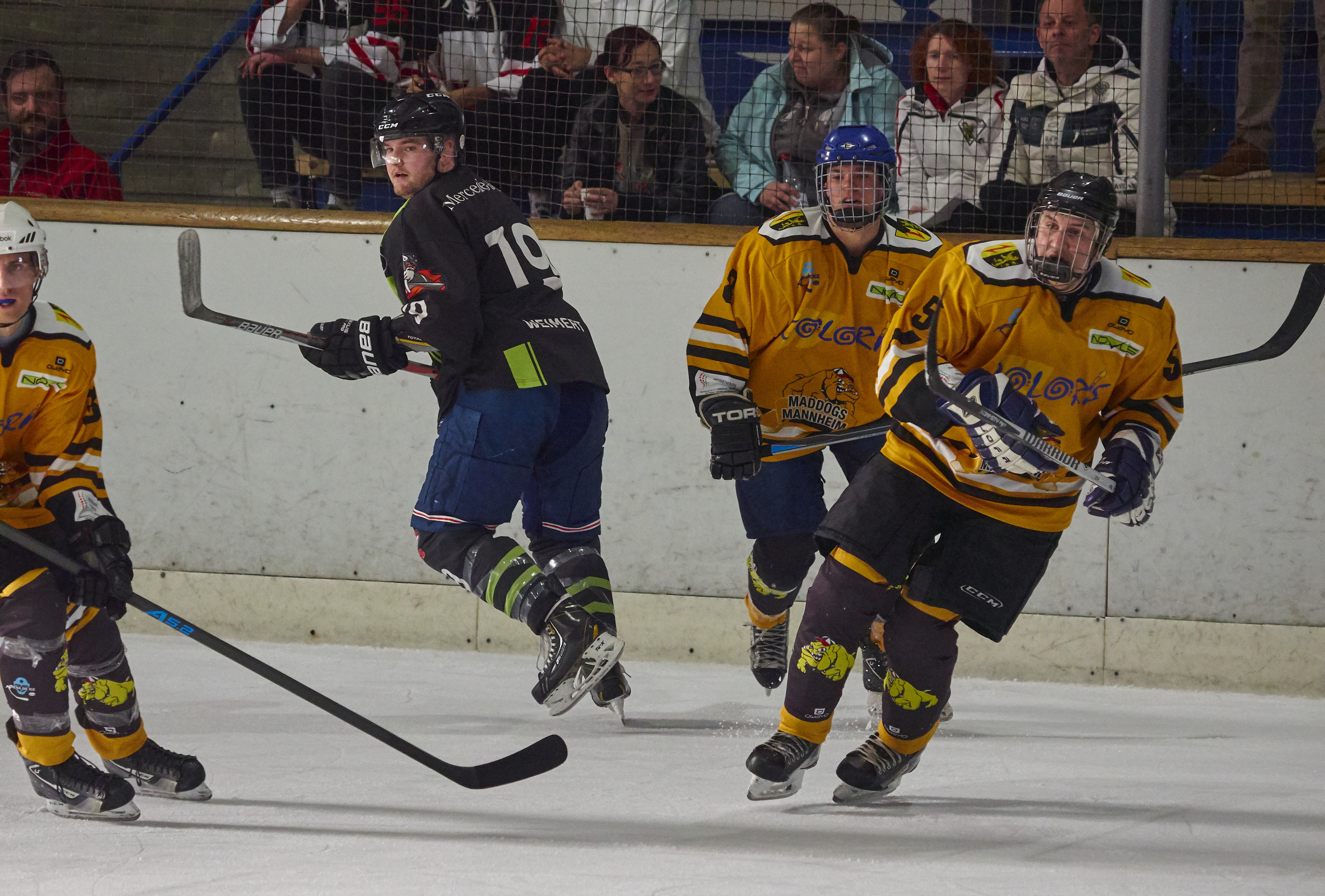 DPL Finale 2018 P4081213